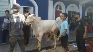 WhatsApp Image 2021-06-08 at 11.12.42 (2)